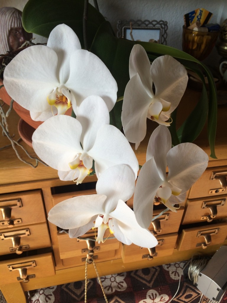 tumblr_npbnm82IYx1rzuswqo1_1280