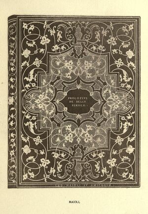 Maioli style binding.jpg