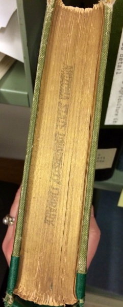 File:Topedgegilt.JPG