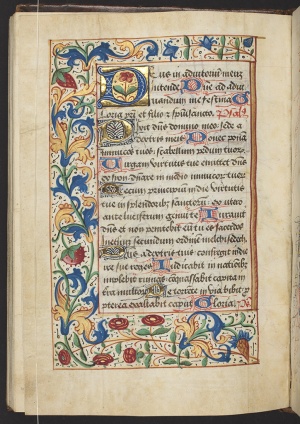 Acanthus bookofhours.jpg